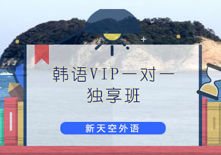 韩语VIP一对一享班---天津新天空