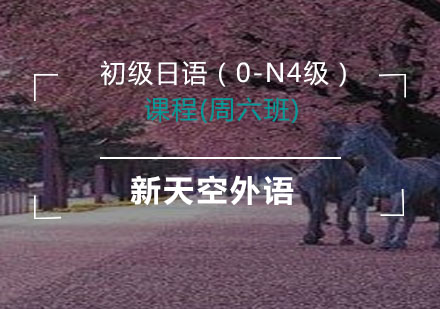 初级日语（0-N4级）(周六班)-天津新天空