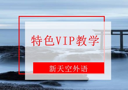 天津新天空特色VIP教学