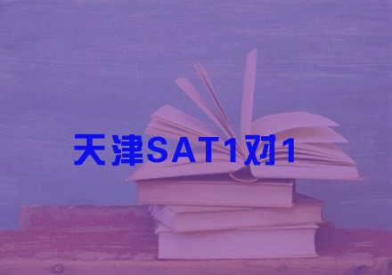 天津SAT1对1-海归湾教育