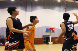 杭州专业篮球培训课程