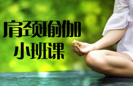 惠州肩颈理疗瑜伽小班培训