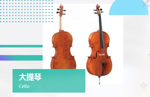 大提琴专业音乐类艺术留学