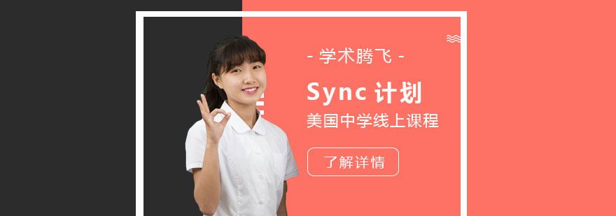 美国Sync计划线上课程