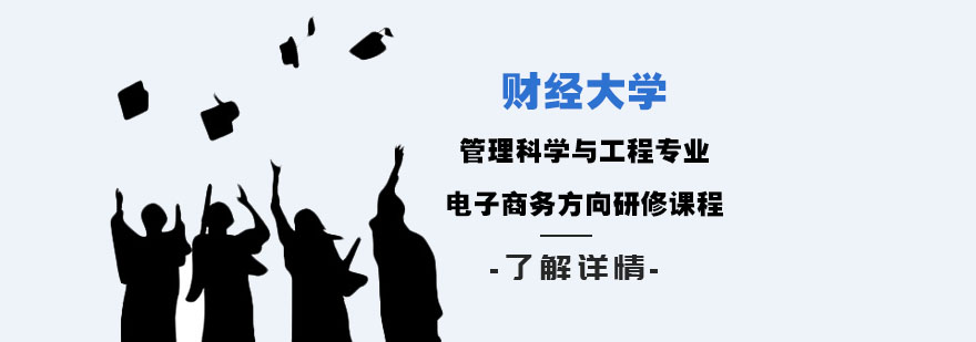 上海财经管理科学与工程专业电子商务方向研修课程